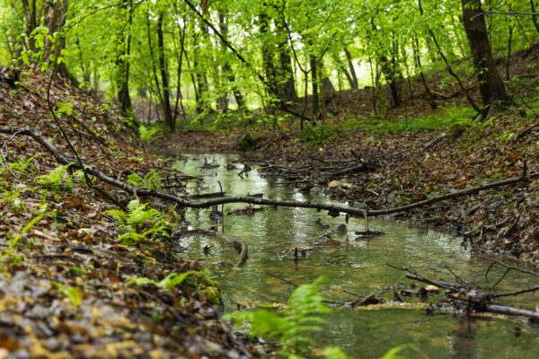 The Valle dell’Acqua